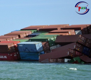 Bảo hiểm hàng hóa là gì?